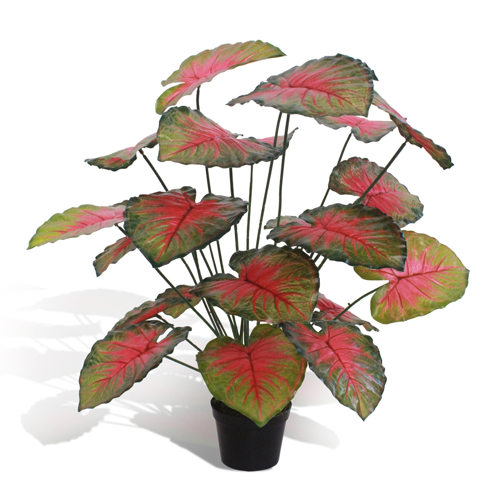 Tinhorão Arbusto Artificial 24F (80cm) - Imagem 13