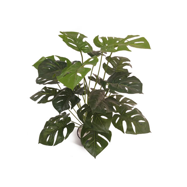 Costela de Adão Arbusto Artificial (70cm) - Imagem 2