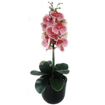Vaso de Orquídea em Silicone