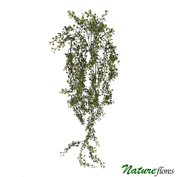 Unha-de-Gato Folhagem Pendente Artificial (88cm) - Imagem 3