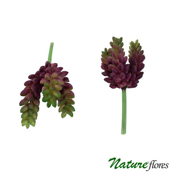 Suculenta Artificial Dedo de Moça (12cm) - Imagem 5
