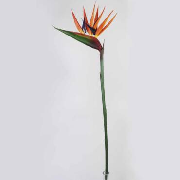 Strelitzia artificial (90cm)