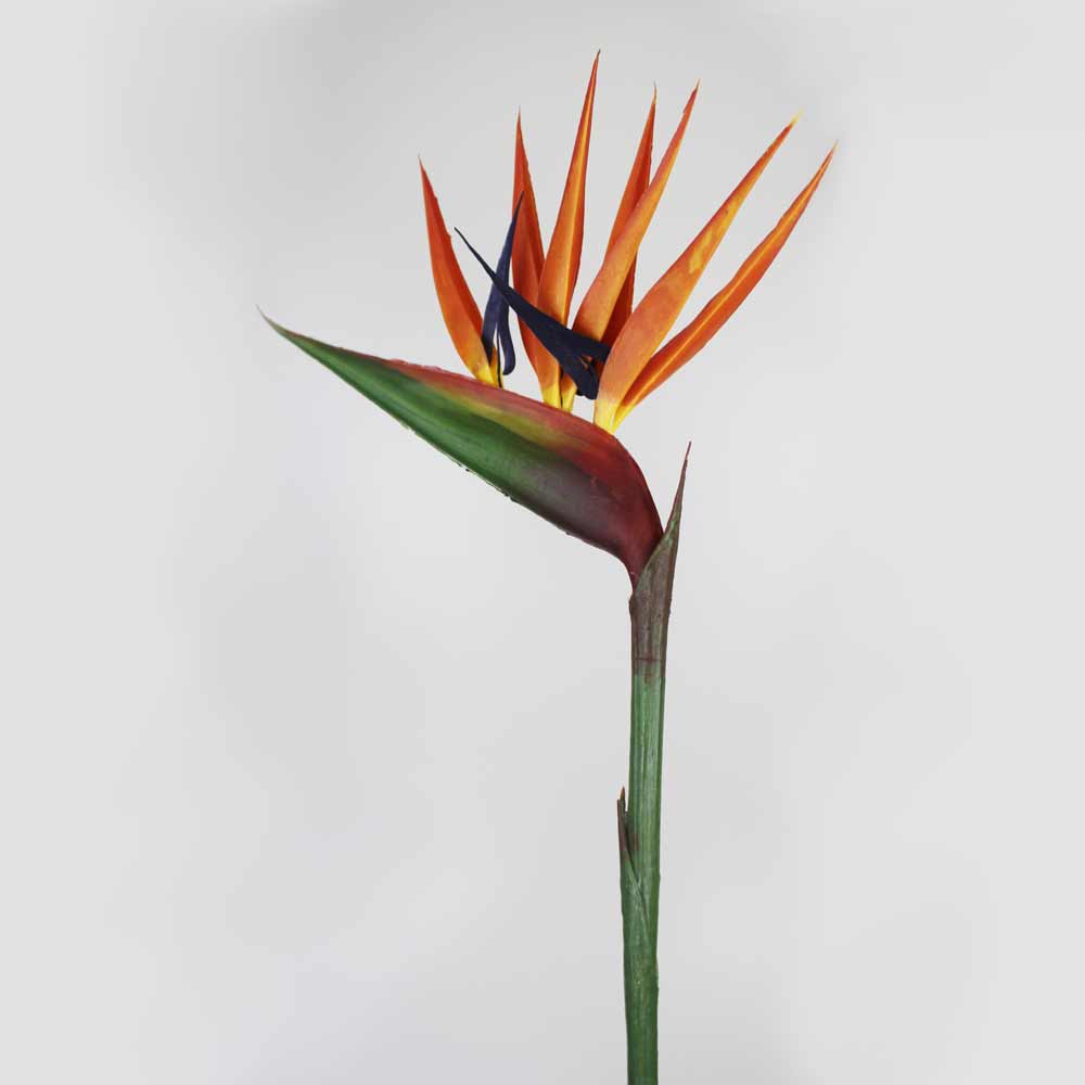 Strelitzia artificial (90cm) - Imagem 2