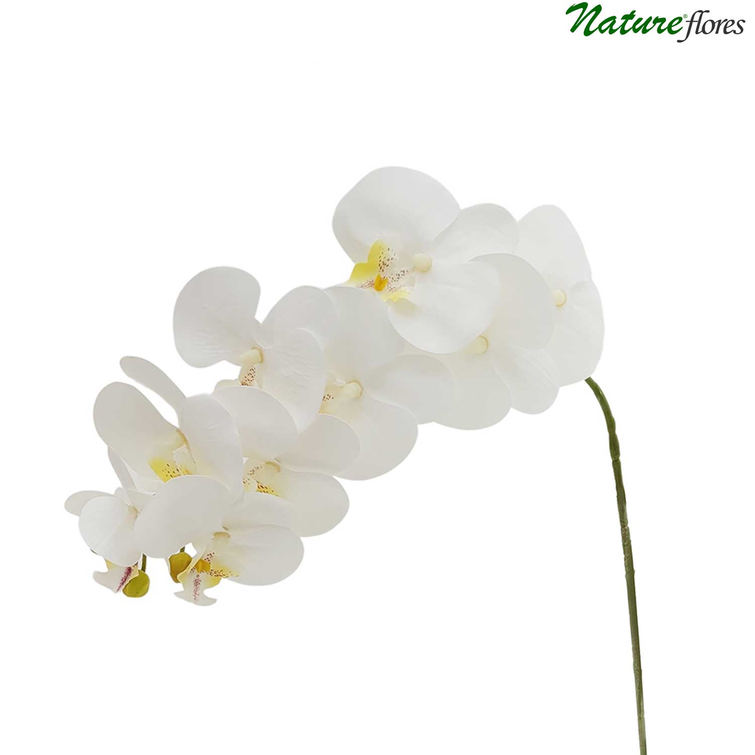 Orquídea Phalaenopsis Flor Artificial 9FL (76cm) - Imagem 7