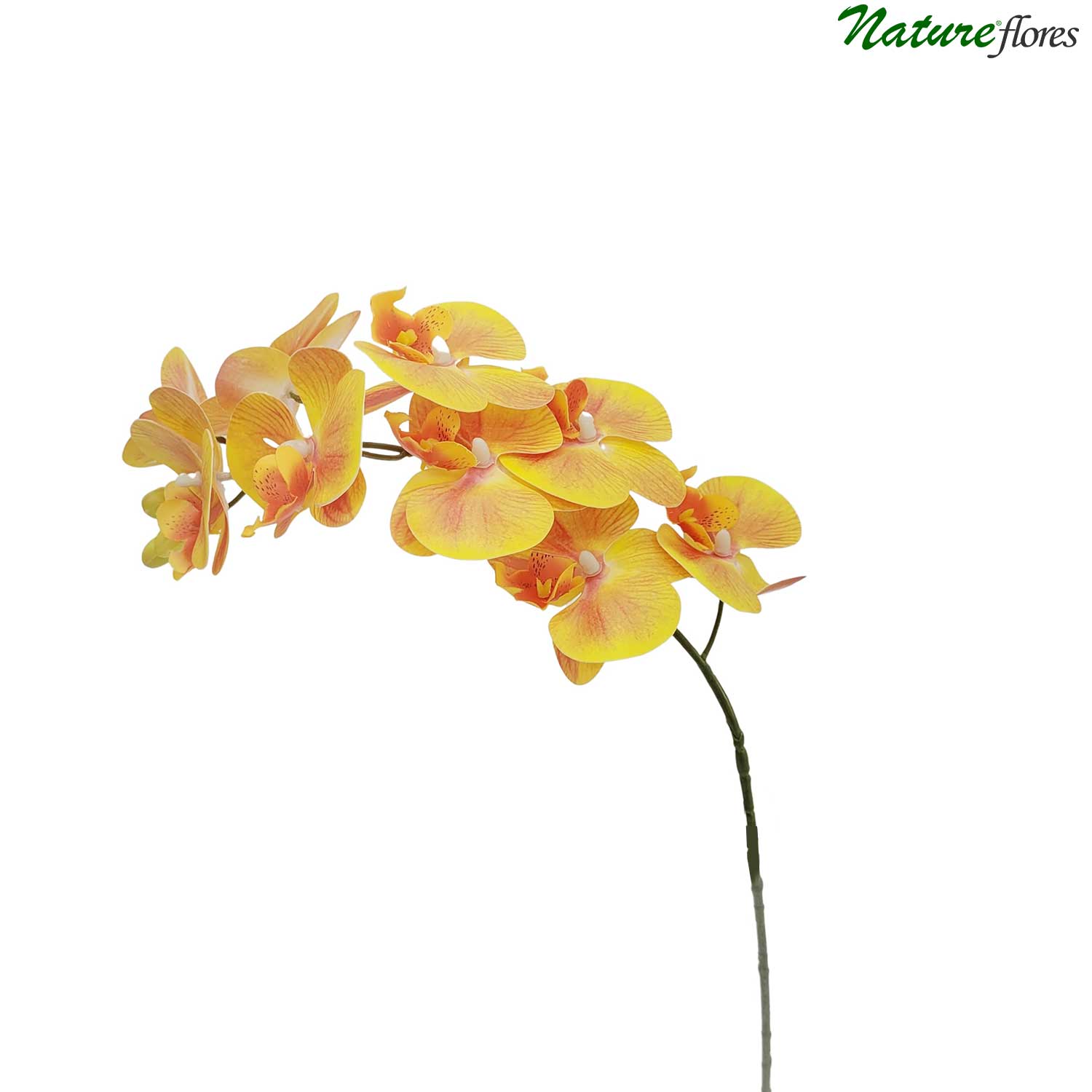 Orquídea Phalaenopsis Flor Artificial 9FL (76cm) - Imagem 5