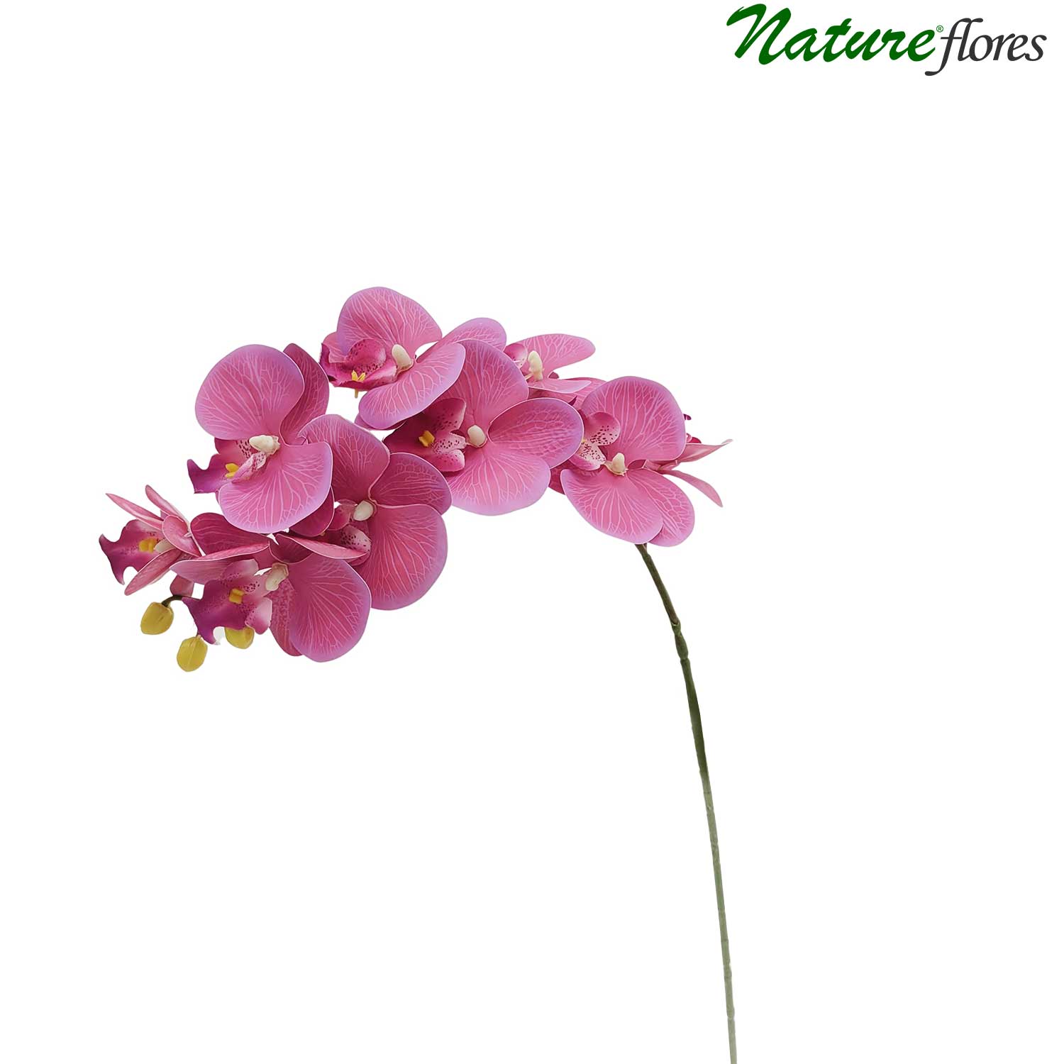Orquídea Phalaenopsis Flor Artificial 9FL (76cm) - Imagem 12