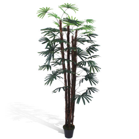 Palmeira Ráfia Verde