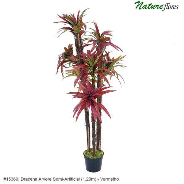 Dracena Árvore Semi-Artificial - Vermelho - Imagem 2
