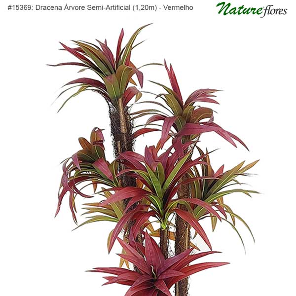 Dracena Árvore Semi-Artificial - Vermelho - Imagem 5