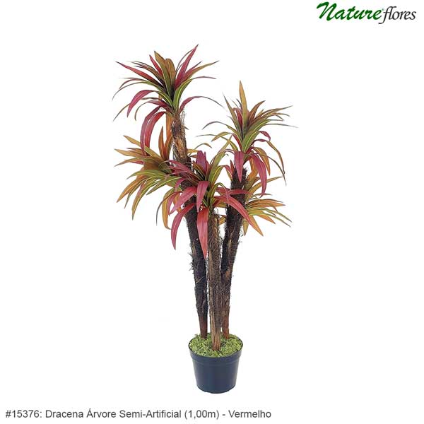 Dracena Árvore Semi-Artificial - Vermelho - Imagem 3