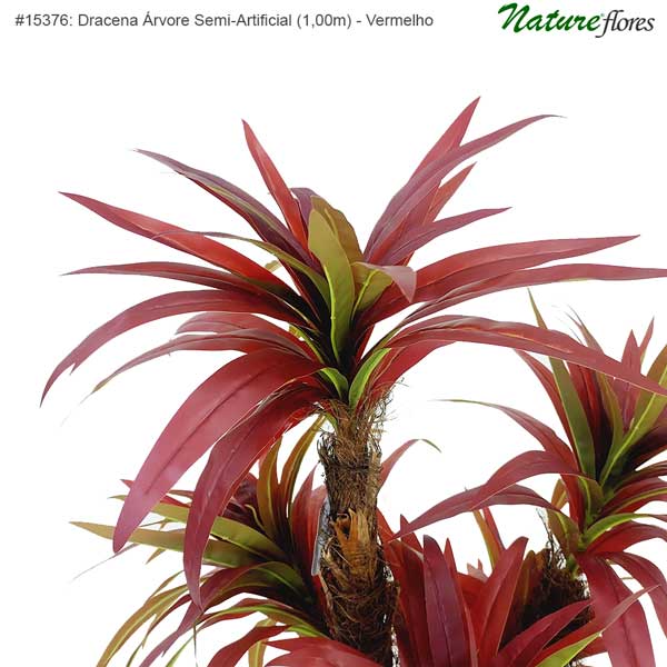 Dracena Árvore Semi-Artificial - Vermelho - Imagem 4