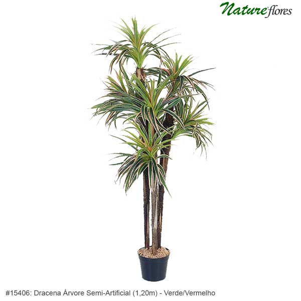 Dracena Árvore Semi-Artificial - Verde/Vermelho - Imagem 2