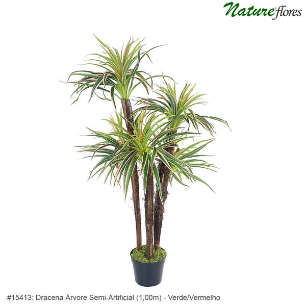 Dracena Árvore Semi-Artificial - Verde/Vermelho - Imagem 3