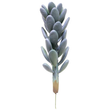 Cacto Artificial (29cm)