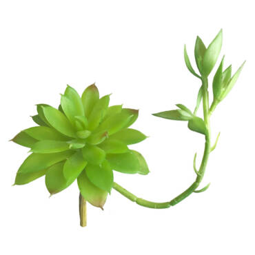 Agave Mini com broto artificial (13cm)