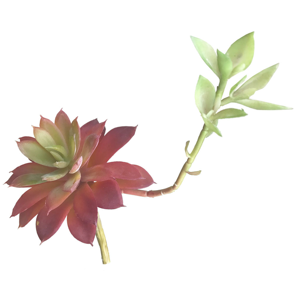 Agave Mini com broto artificial (13cm) - Imagem 4