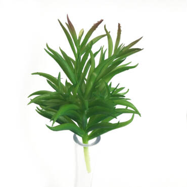 Onze Horas Verde (18cm)