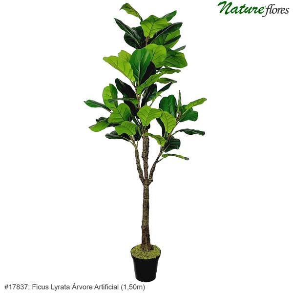 Ficus Lyrata Árvore Artificial (1,20m) - Imagem 2