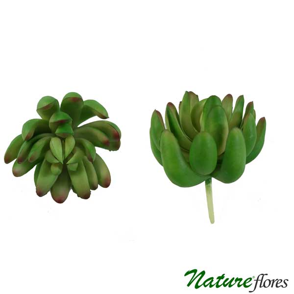 Suculenta Dedo de Moça Artificial (9cm) - Imagem 4
