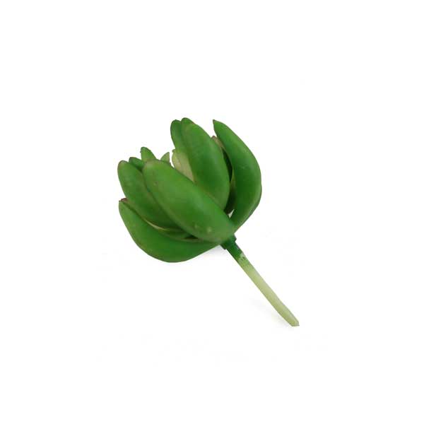 Suculenta Dedo de Moça Artificial (9cm) - Imagem 5