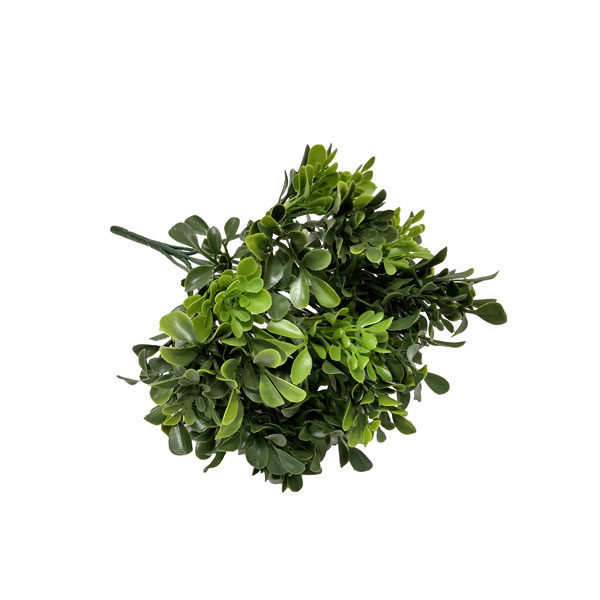 Clusia Verde Folhagem Artificial (30cm) - Imagem 2