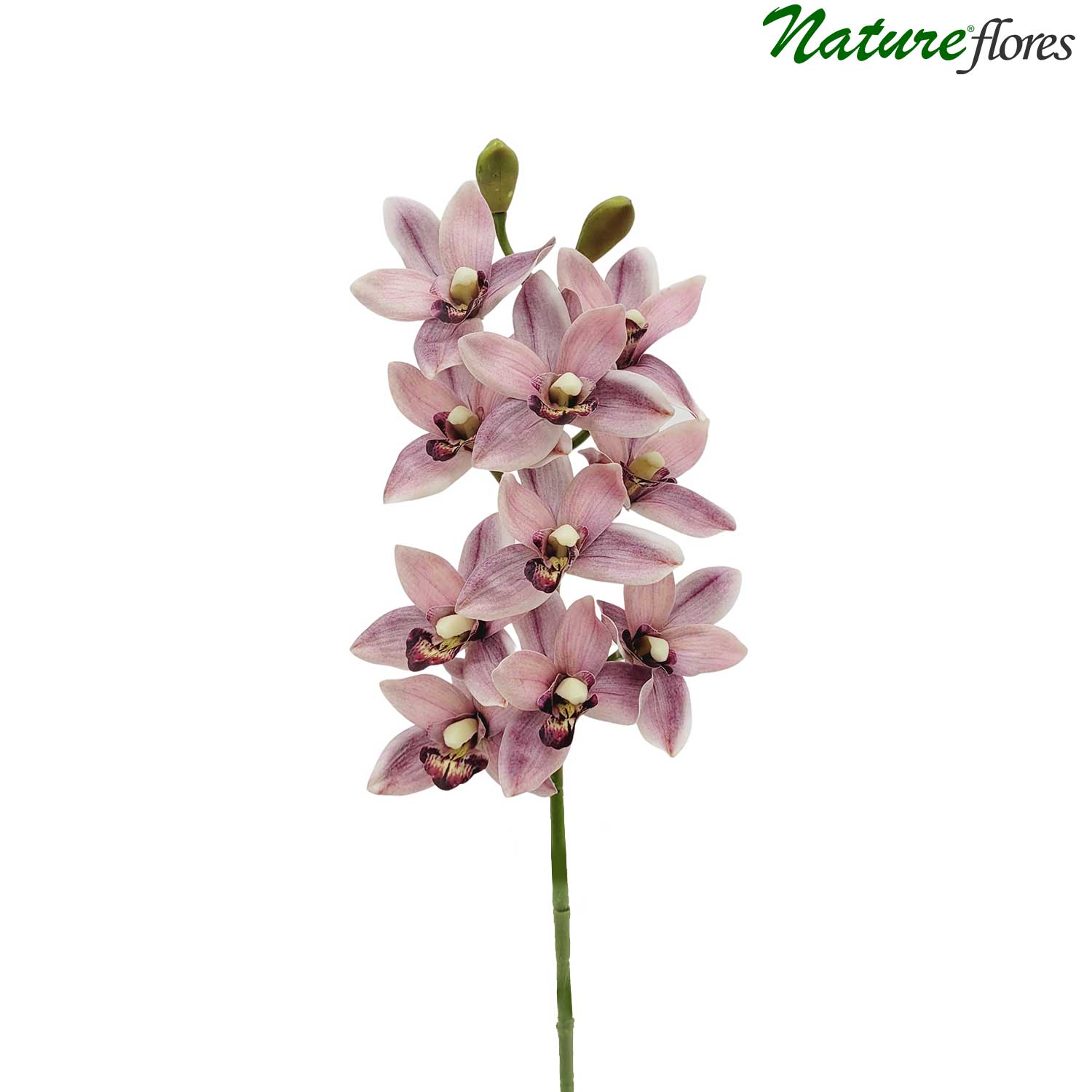 Cymbidium Orquídea Galho Artificial (62cm) - Imagem 7