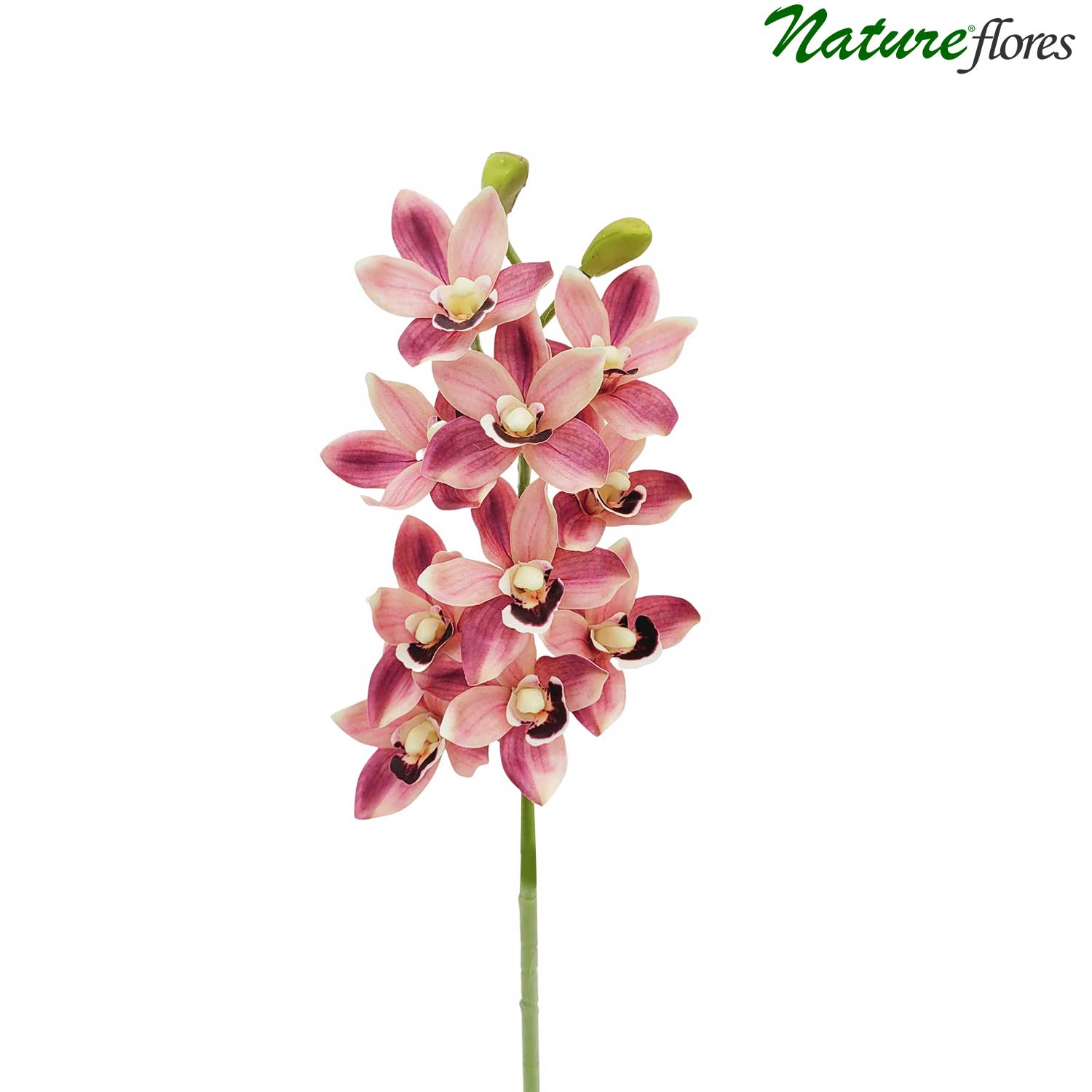 Cymbidium Orquídea Galho Artificial (62cm) - Imagem 9