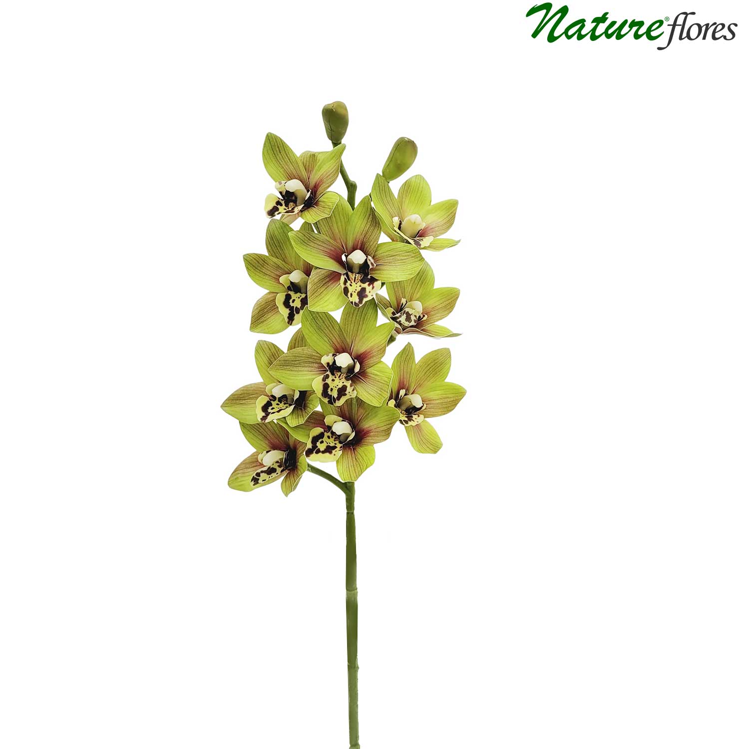 Cymbidium Orquídea Galho Artificial (62cm) - Imagem 11