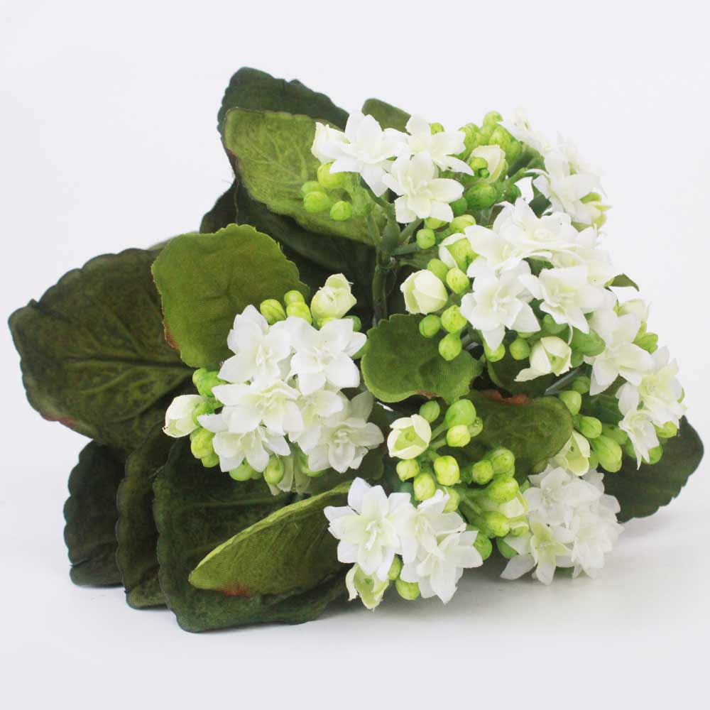 Kalanchoe Silvestre (24cm) - Imagem 5