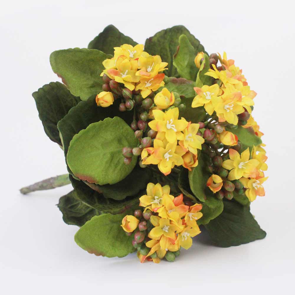 Kalanchoe Silvestre (24cm) - Imagem 6