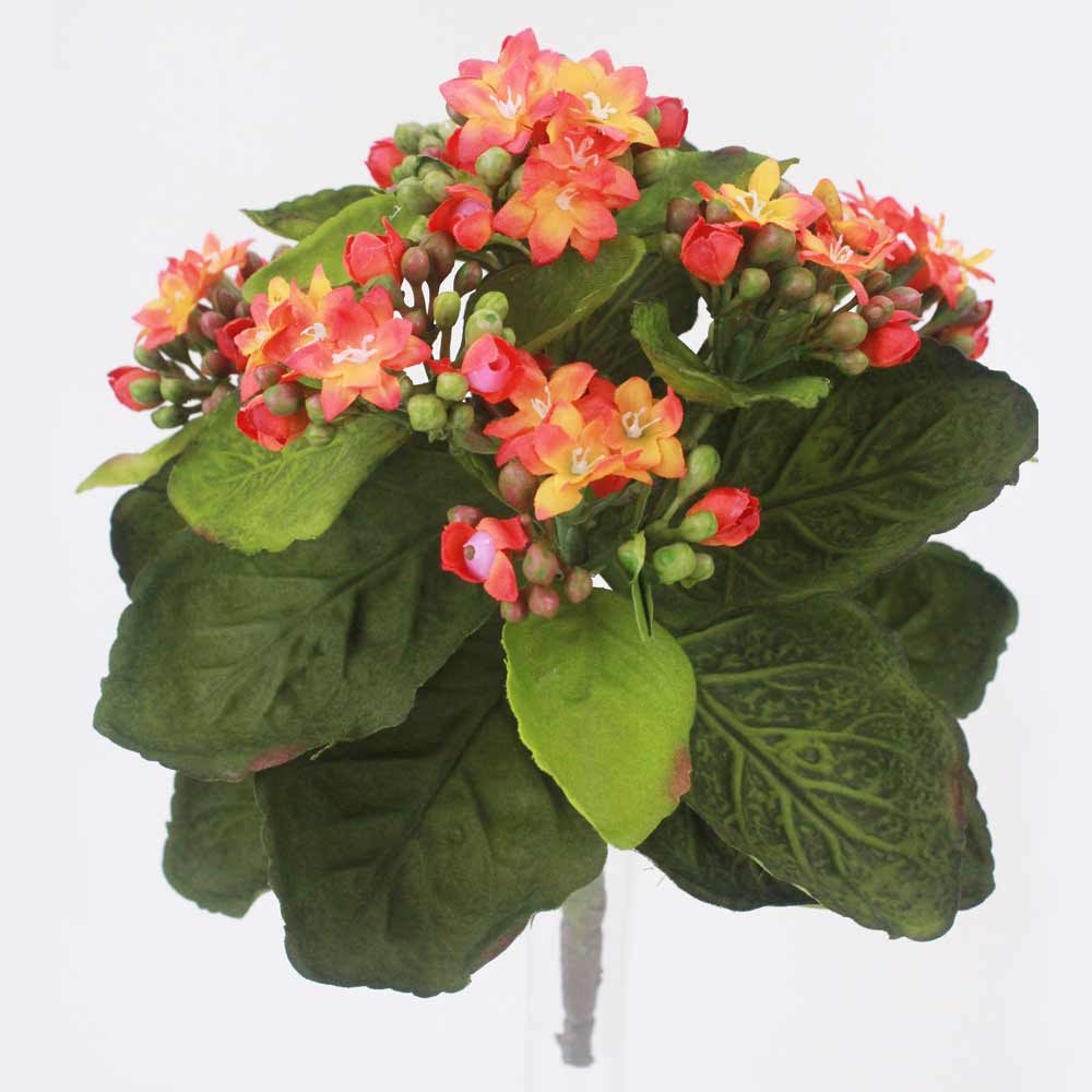 Kalanchoe Silvestre (24cm) - Imagem 2