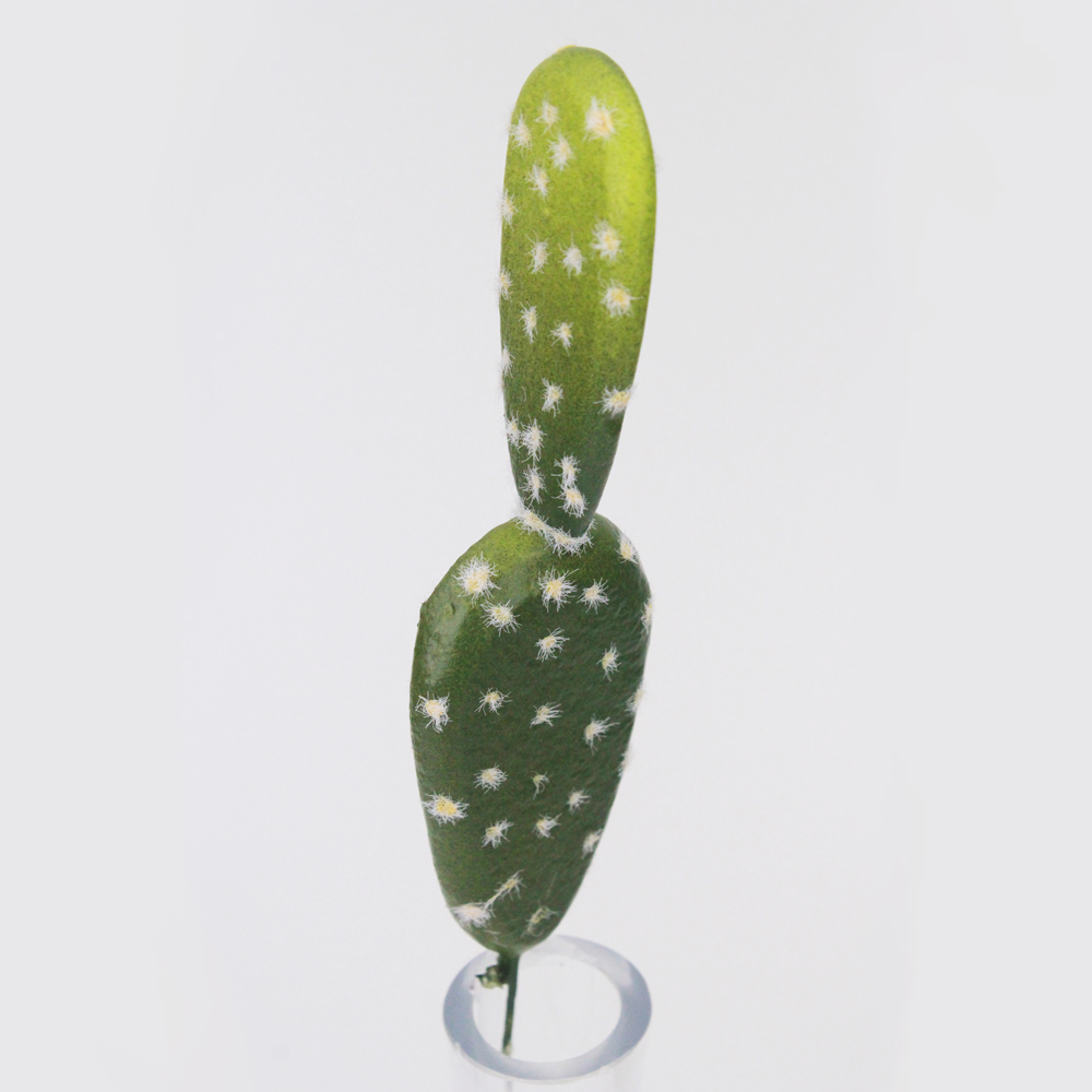 Cacto Palma artificial - Imagem 3