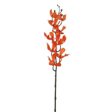 Orquídea Spider (90cm)