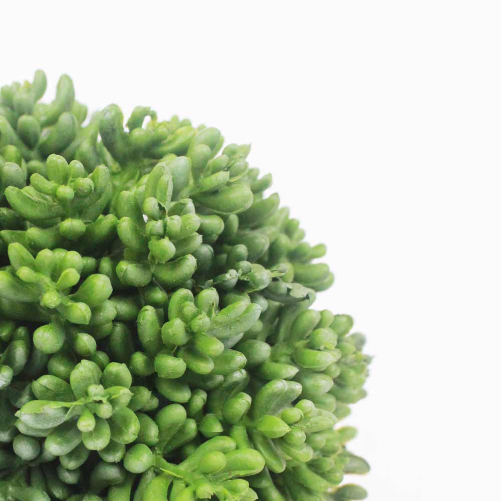 Bola de Suculenta artificial (20cm) - Imagem 2