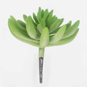 Suculenta artificial (12cm)