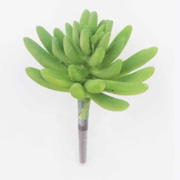 Suculenta artificial (10cm)