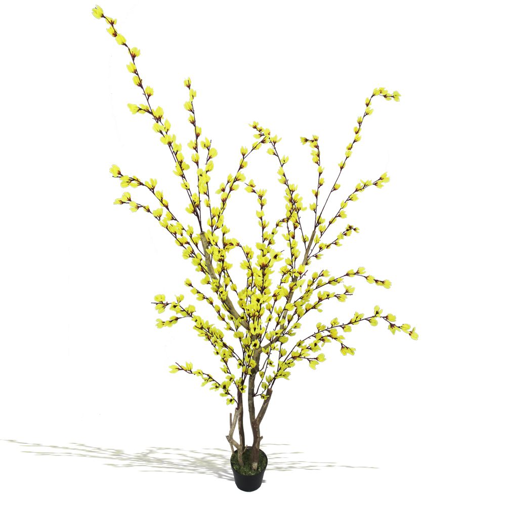 Cacia amarela semi-artificial (1,50m)