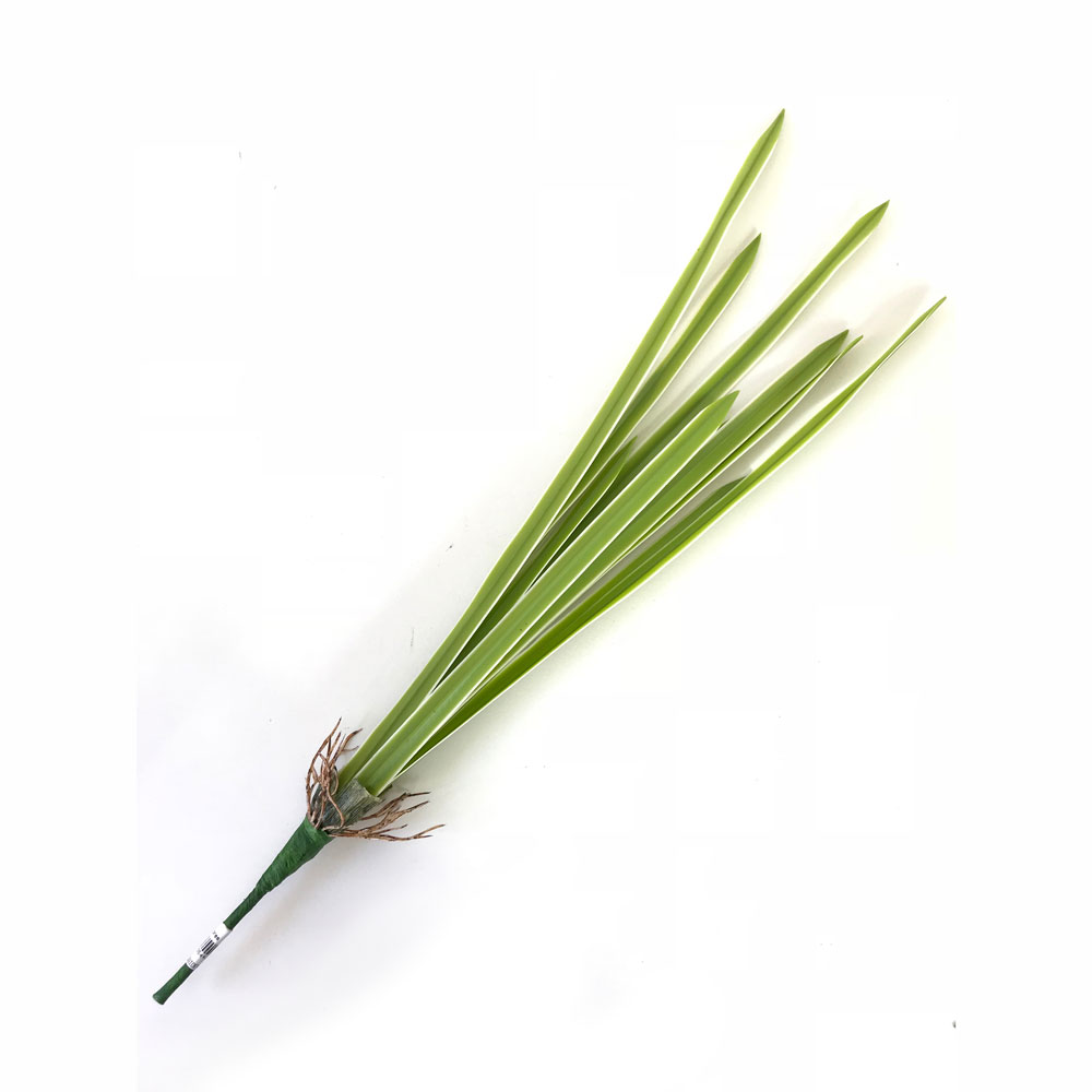 Folha de Orquídea em Silicone 12F (57cm) - branco - Imagem 2