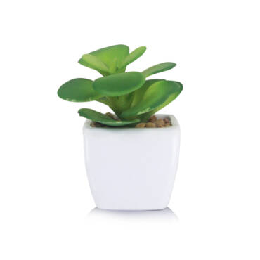 Balsamo em Vaso Cerâmico (9cm)