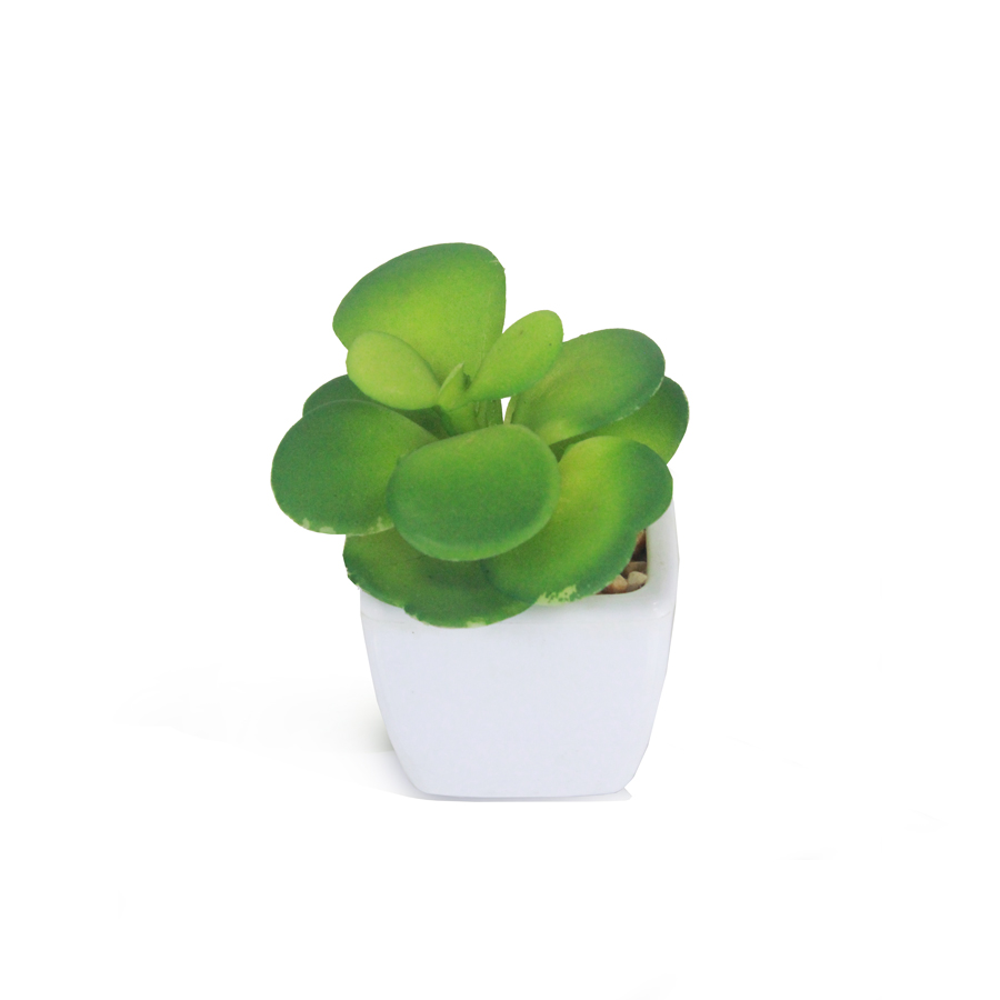 Balsamo em Vaso Cerâmico (9cm) - Imagem 2