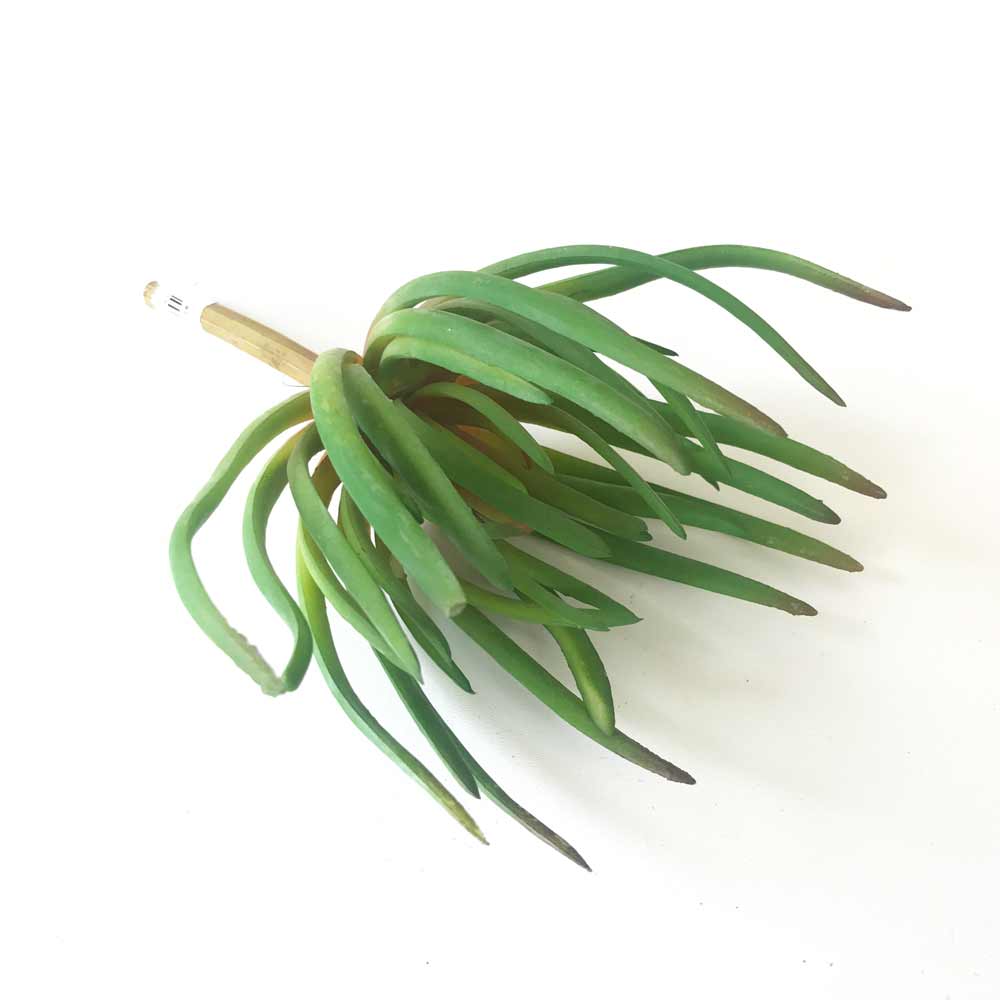 Grass Suculenta artificial (20cm) - Imagem 3