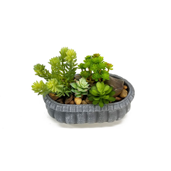 Araucaria Suculenta Artificial Mini (10cm) - Imagem 2