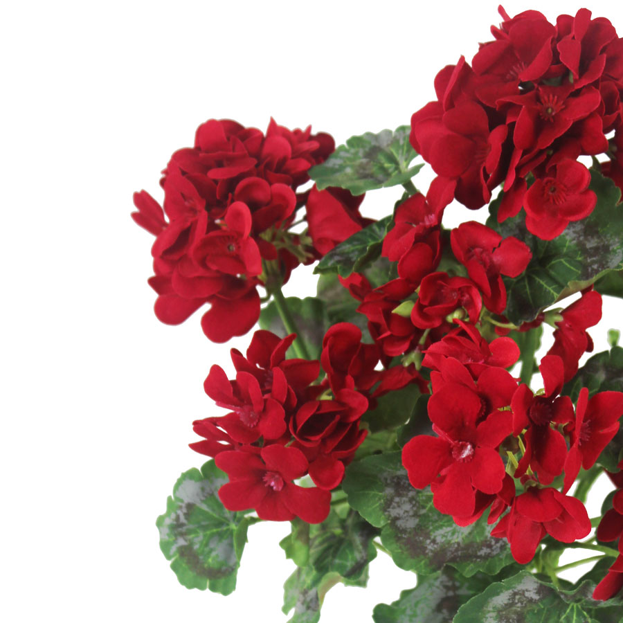 Gerânio Vermelho 8FL (45cm) - Imagem 2