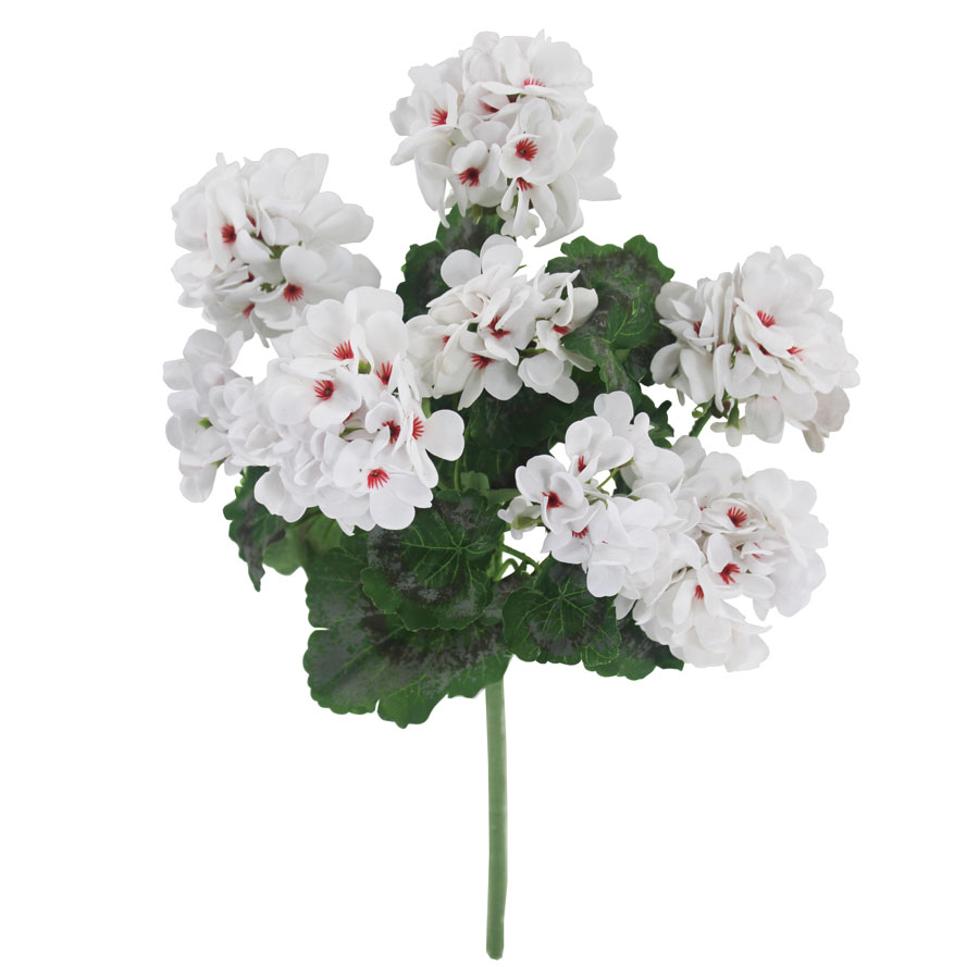 Gerânio Branco 8FL (45cm)