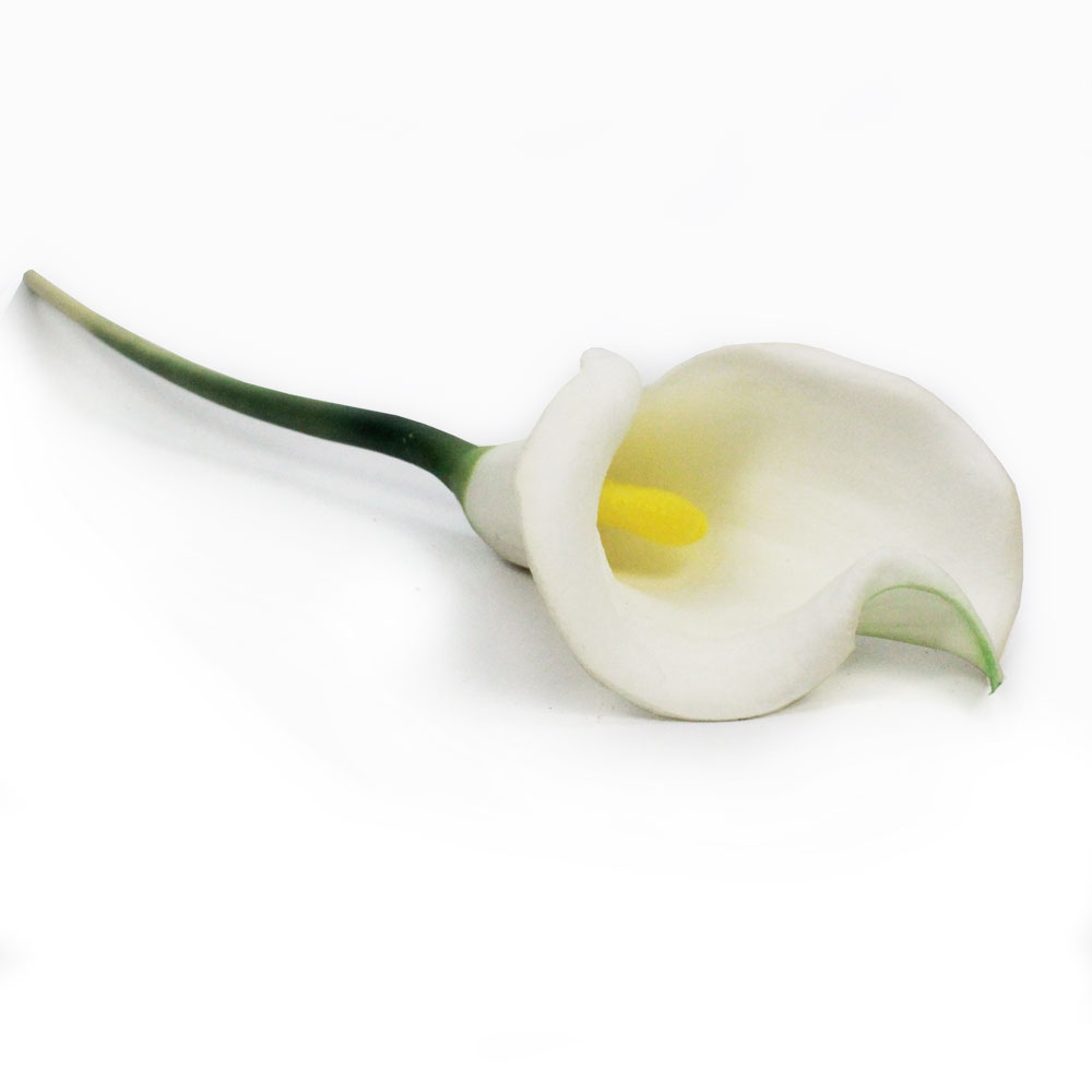 Copo de Leite (65cm) - Imagem 2