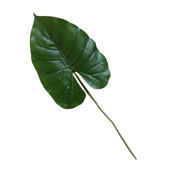 Folha de Philo Artificial (55cm) - Imagem 5