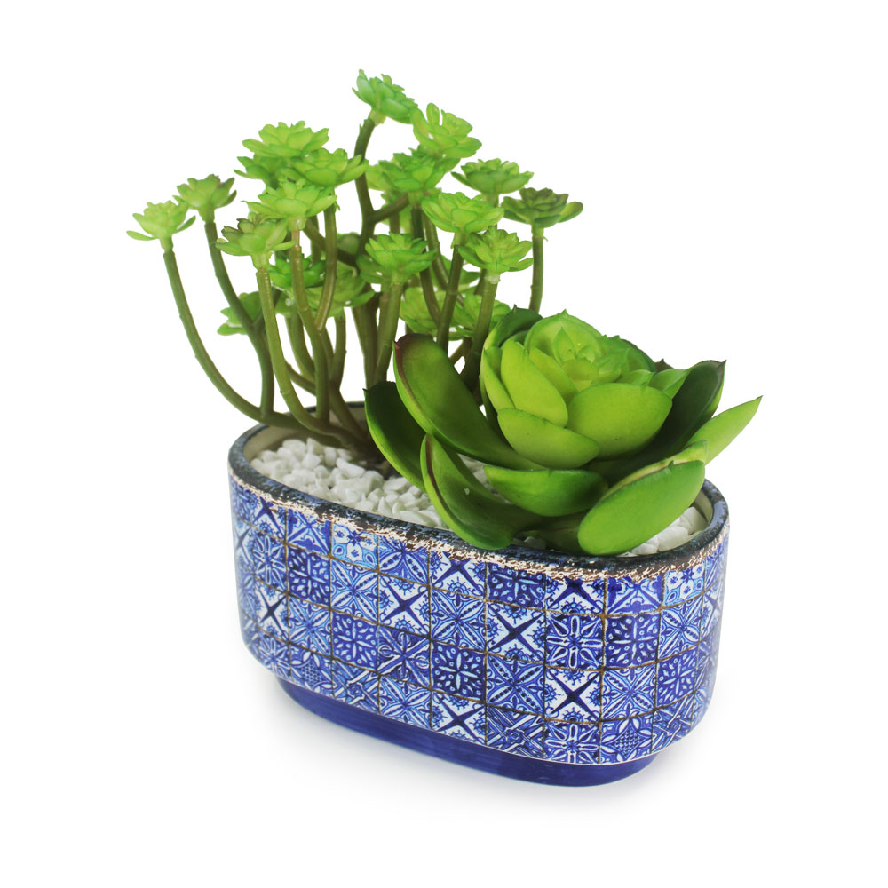 Suculenta em Vaso Português I
