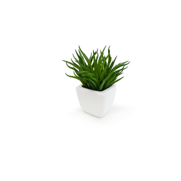 Suculenta Artificial em Vasinho de Cerâmica (7-10cm) - Imagem 3