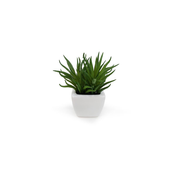Suculenta Artificial em Vasinho de Cerâmica (7-10cm) - Imagem 4