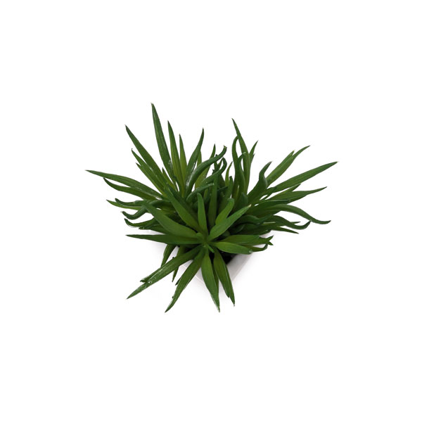 Suculenta Artificial em Vasinho de Cerâmica (7-10cm) - Imagem 5